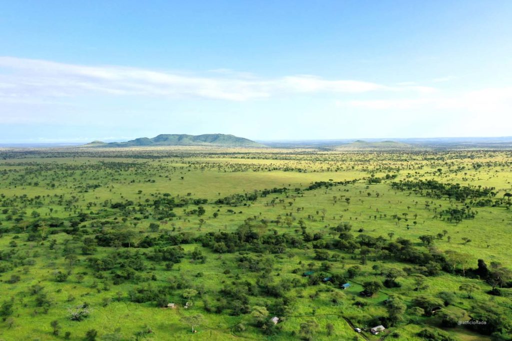 Serengeti National Park, Matawi Serengeti Camp, Zebra, Lion, Leopard, Cheetah, Hypo, Buffalo, Crocodile, Flamingo, Gnu, Giraffe, Antelope, Dik-Dik, Turtle, Aerial Views